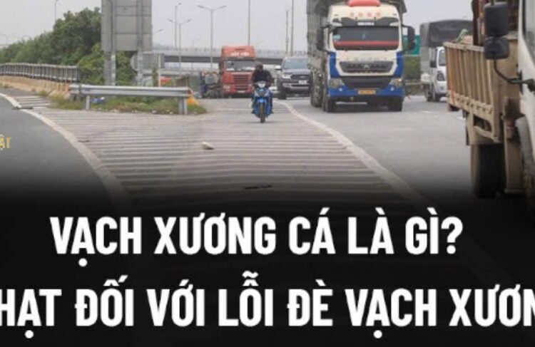 Trung tâm tư vấn pháp luật Toàn Tâm trả lời thư người dân: