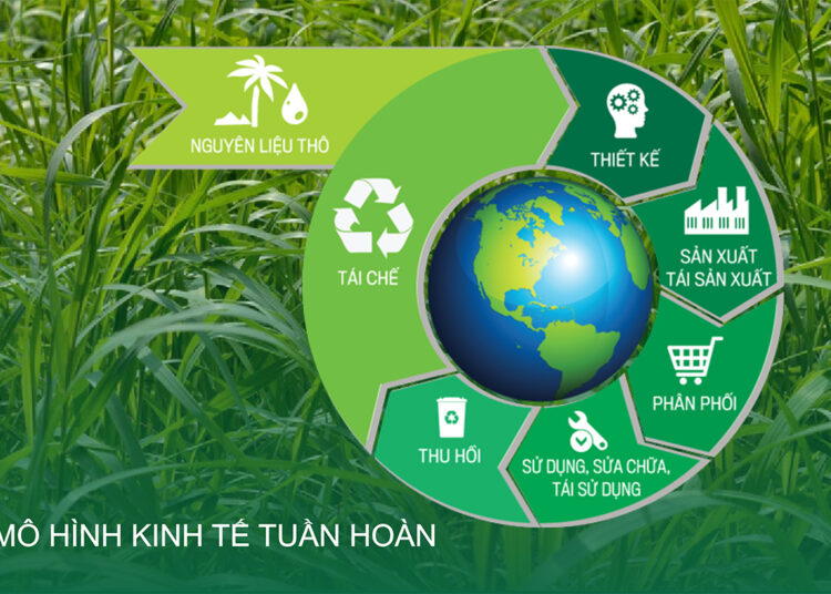 Việt Nam cần xây dựng hệ thống chính sách toàn diện, linh hoạt trong phát triển kinh tế tuần hoàn