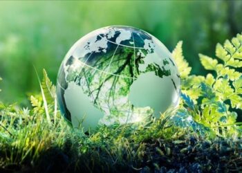 Ông Hồ Minh Sơn – Viện trưởng Viện IMRIC, GĐ Trung tâm tư vấn pháp luật Toàn Tâm: Kinh tế xanh “phát huy nội lực, chiến lược, lâu dài; ngoại lực và sức mạnh thời đại, đột phá”