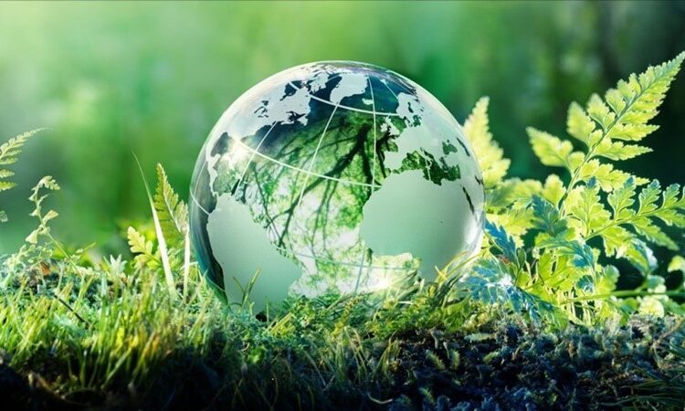 Ông Hồ Minh Sơn – Viện trưởng Viện IMRIC, GĐ Trung tâm tư vấn pháp luật Toàn Tâm: Kinh tế xanh “phát huy nội lực, chiến lược, lâu dài; ngoại lực và sức mạnh thời đại, đột phá”