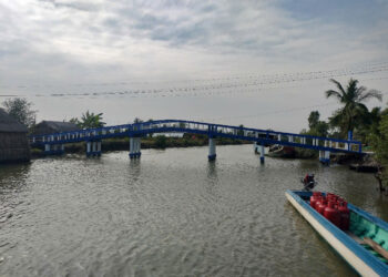 Khánh thành, đưa vào sử dụng 2 cầu dân sinh “Nhịp Thời Gian” tại xã Tân Thuận và Tân Duyệt (huyện Đầm Dơi, tỉnh Cà Mau)