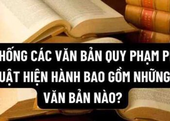 Ông Hồ Minh Sơn – Giám đốc Trung tâm tư vấn pháp luật Toàn Tâm: Nếu ban hành văn bản trái pháp luật, người đứng đầu phải chịu trách nhiệm