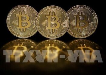 Thế chấp bằng tiền điện tử: Lợi nhuận cao hay bẫy tài chính?