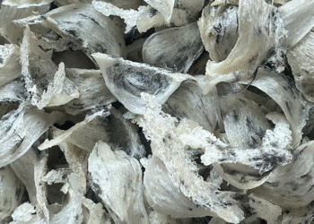 Hiệp hội VFAEA tham dự Hội nghị triển khai Nghị định thư về xuất khẩu tổ yến sang Trung Quốc