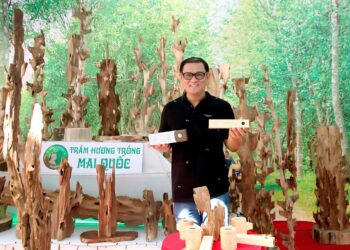 Trầm hương Mai Quốc góp phần phát triển nền nông nghiệp đô thị và đặc trưng thông qua Lễ hội Sinh vật cảnh 2025