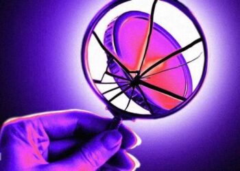 3 đồng tiền số có thể lên đỉnh mới trong tháng 7